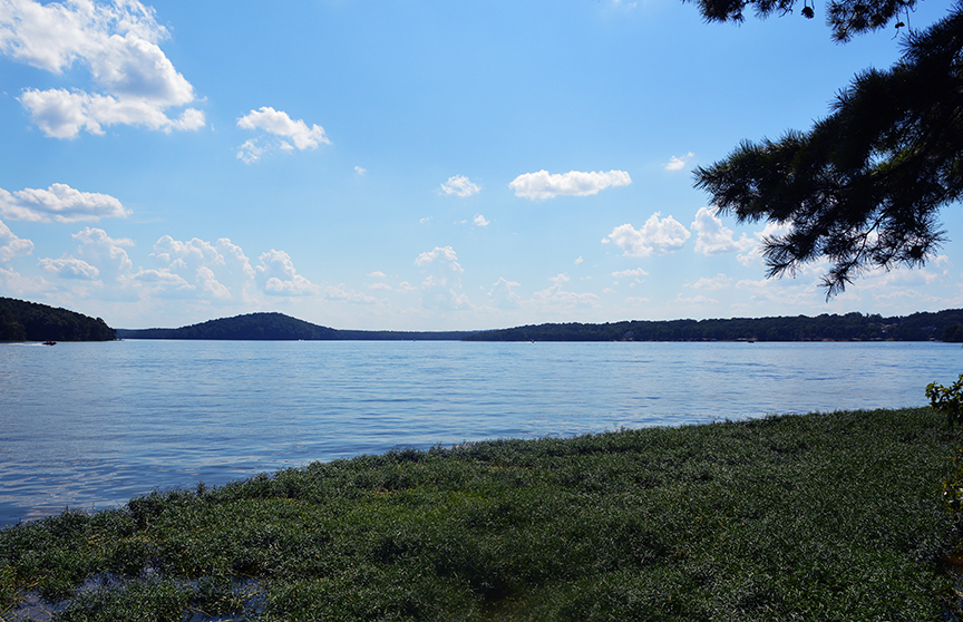 Badin Lake 2025