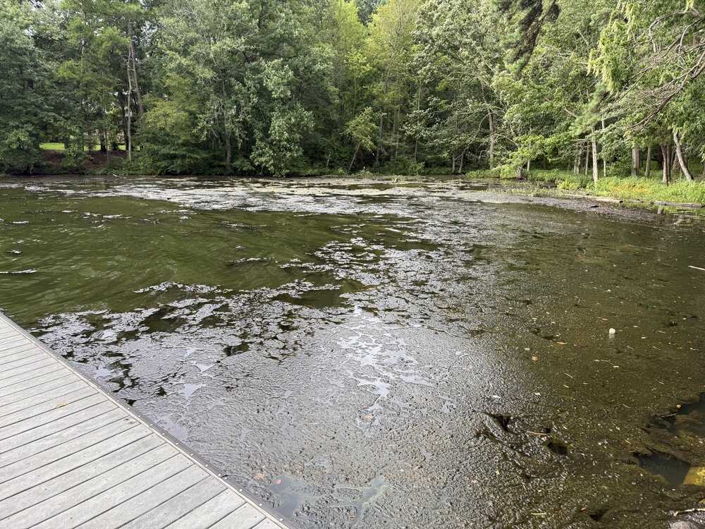 Heron Bay - Summer 2025